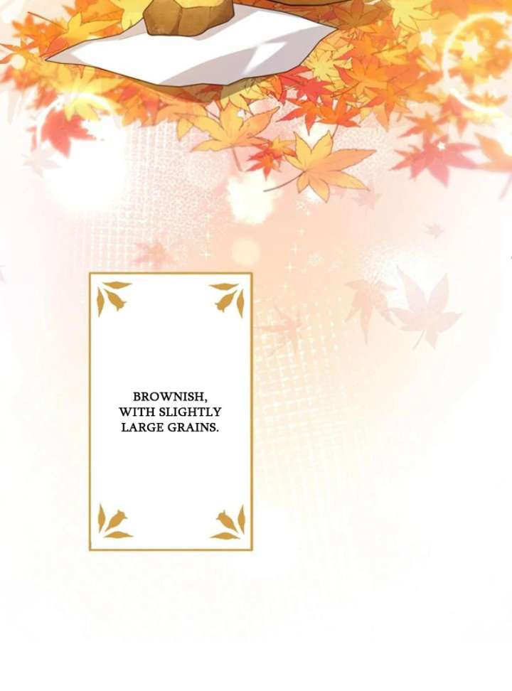 The Stone-Throwing Heiress: The King’s Younger Brother Can’t Stop Loving Her! Chapter 2 - Page 53