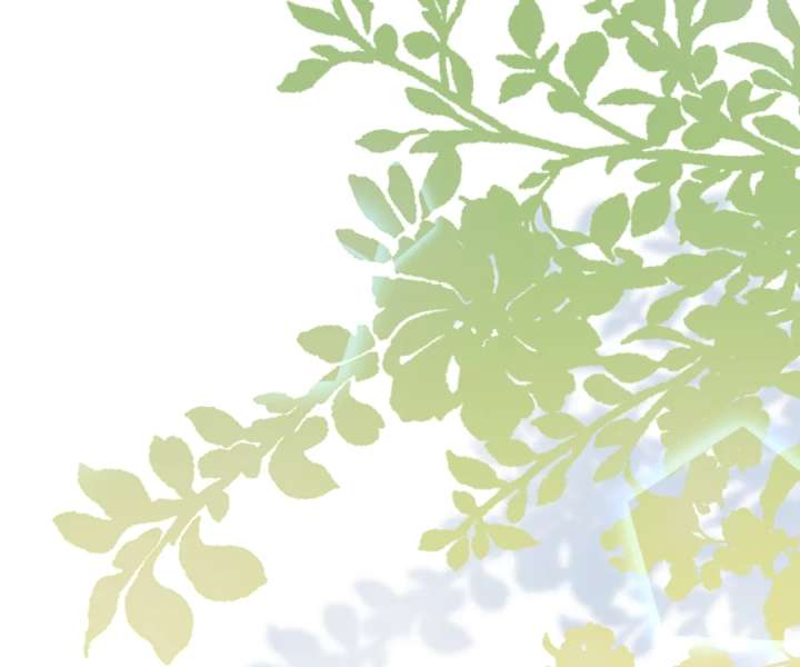 The Substitute Bride and the Overly Affectionate Husband Chapter 56 - Page 70