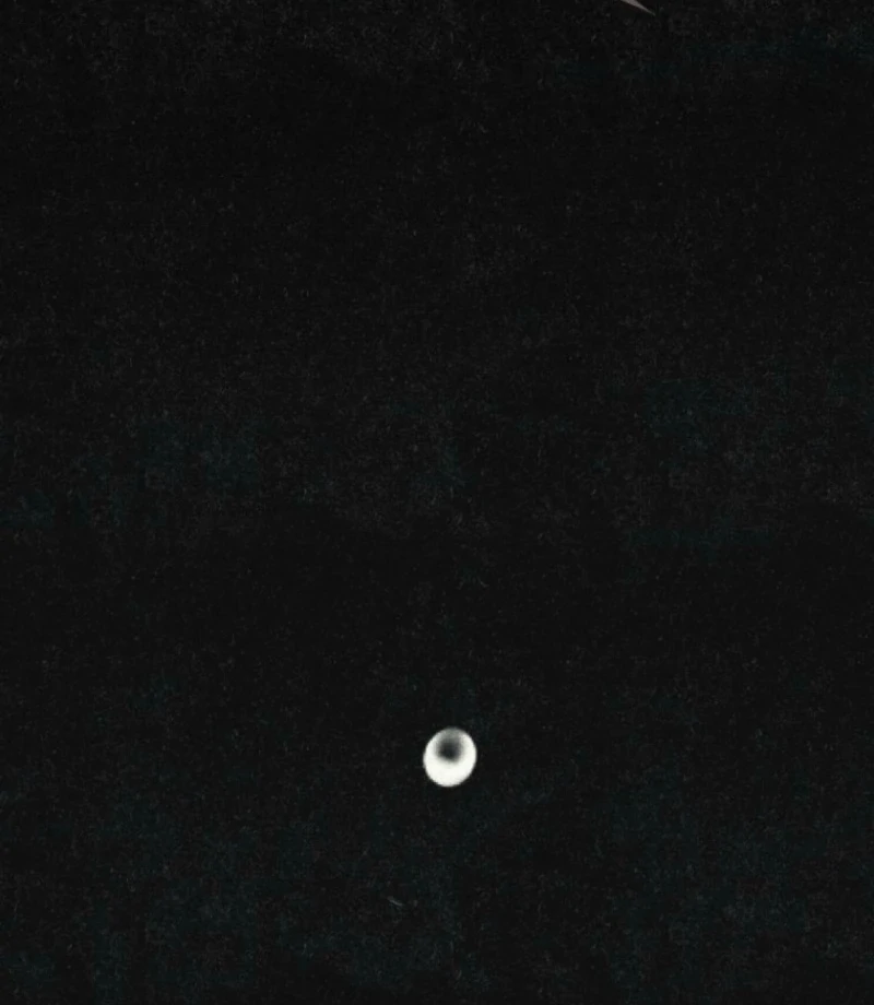 The Summer Swallowed by Darkness Chapter 31 - Page 50