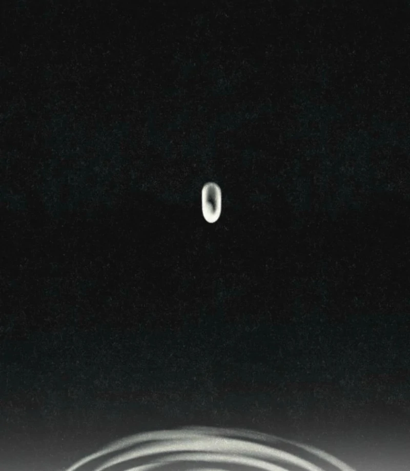 The Summer Swallowed by Darkness Chapter 31 - Page 51