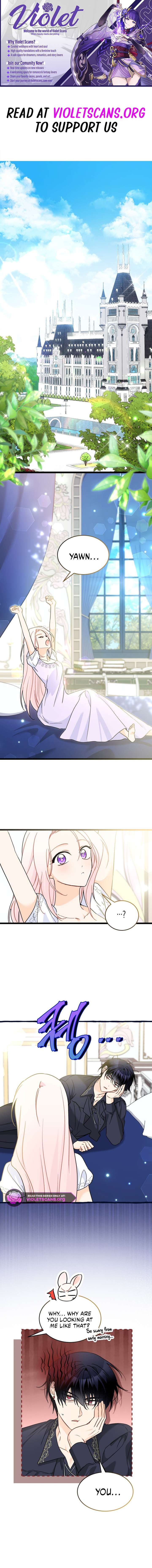 The Symbiotic Relationship Between the Rabbit and the Black Panther Chapter 200 - Page 1