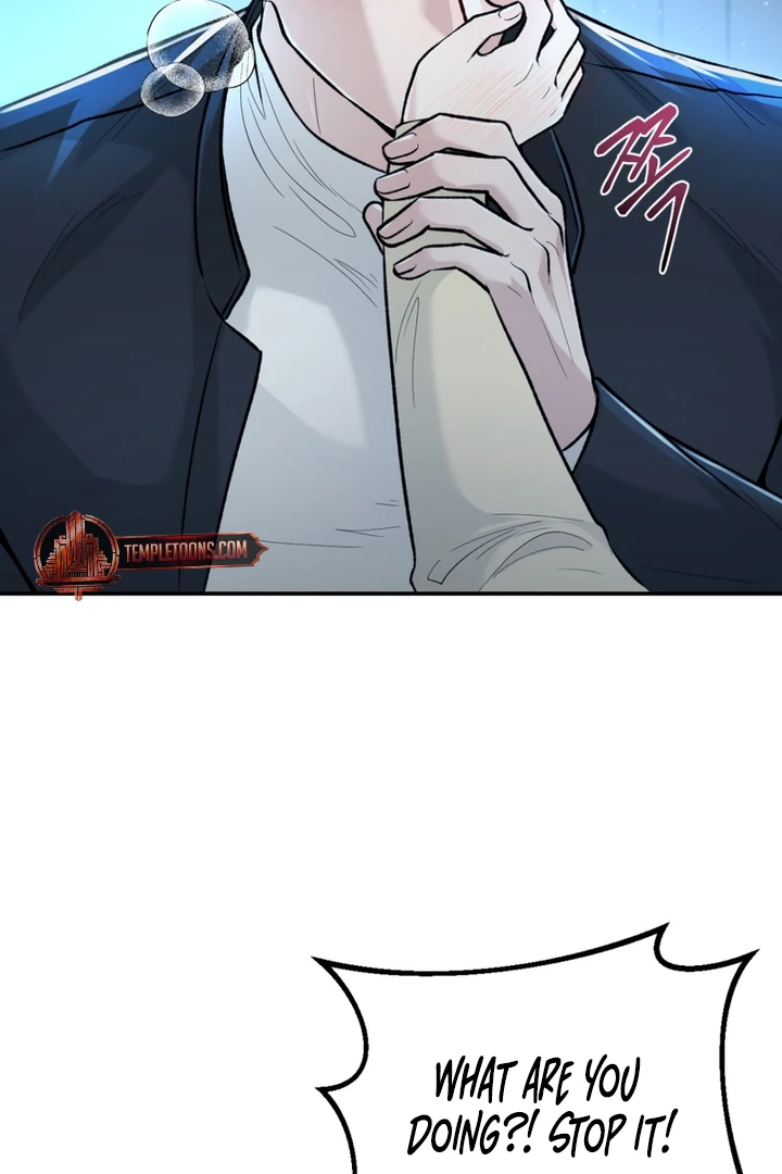 The Twin’s Toywife Chapter 5 - Page 17