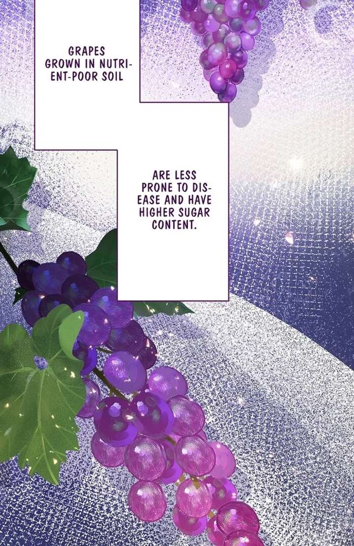 The Villainess Who Wants to Break Off the Engagement at All Costs, but the Muscle-Brained Crown Prince Absolutely Won’t Let Her Escape Chapter 12 - Page 64