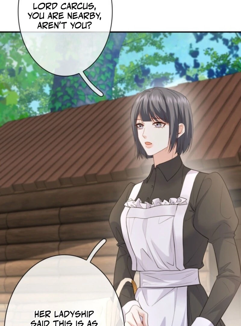 The Villainess Will Bring Down the Marquis’s House! Chapter 20 - Page 45