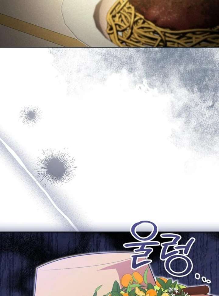 The Villainous Admiral Wants to Catch Me in His Net Chapter 28 - Page 11