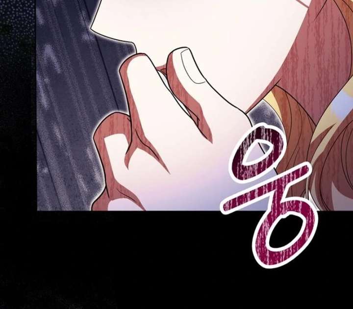 The Villainous Admiral Wants to Catch Me in His Net Chapter 28 - Page 19