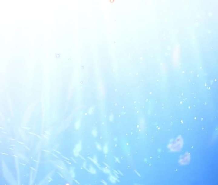 The Villainous Admiral Wants to Catch Me in His Net Chapter 30 - Page 182