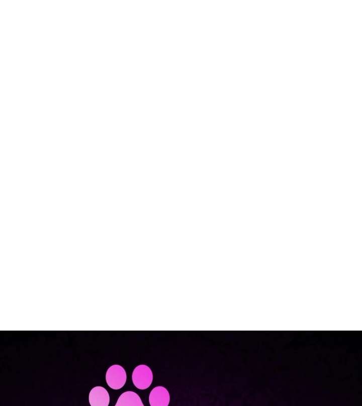 The Witch’s Tears Become Poison Chapter 1 - Page 337