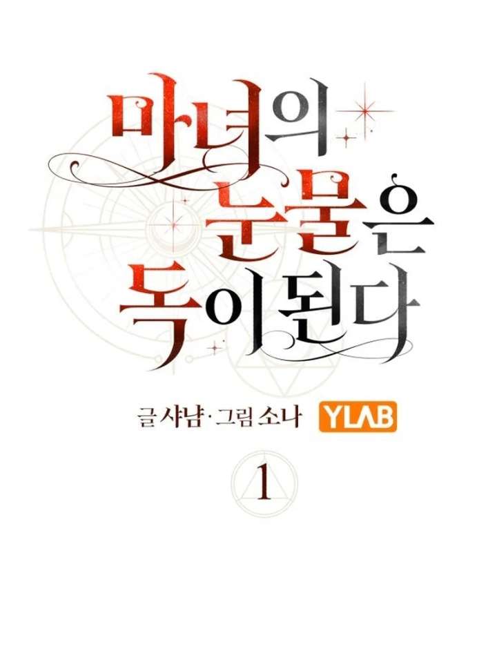 The Witch’s Tears Become Poison Chapter 1 - Page 41