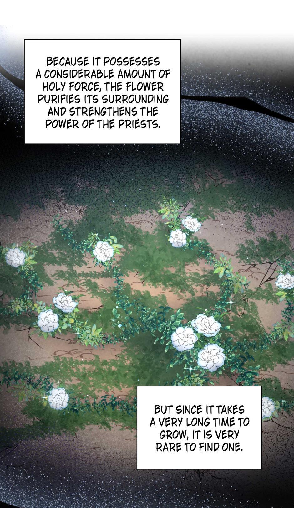 The Wizard and the Tree Chapter 55 - Page 4