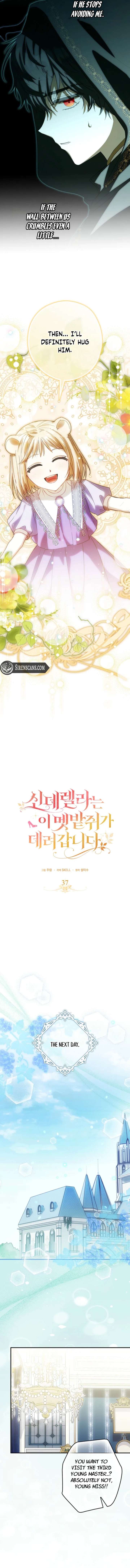 This Wild Mouse Has Taken Cinderella Chapter 37 - Page 7