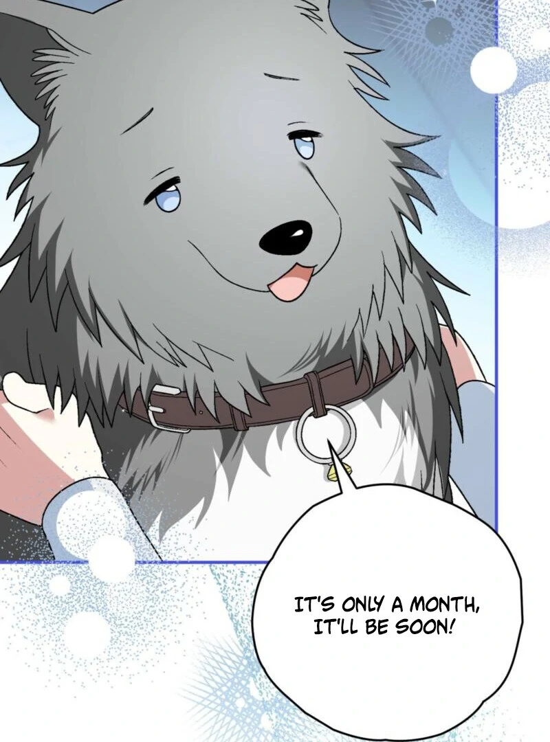 To My Dear Wolf Chapter 21 - Page 102