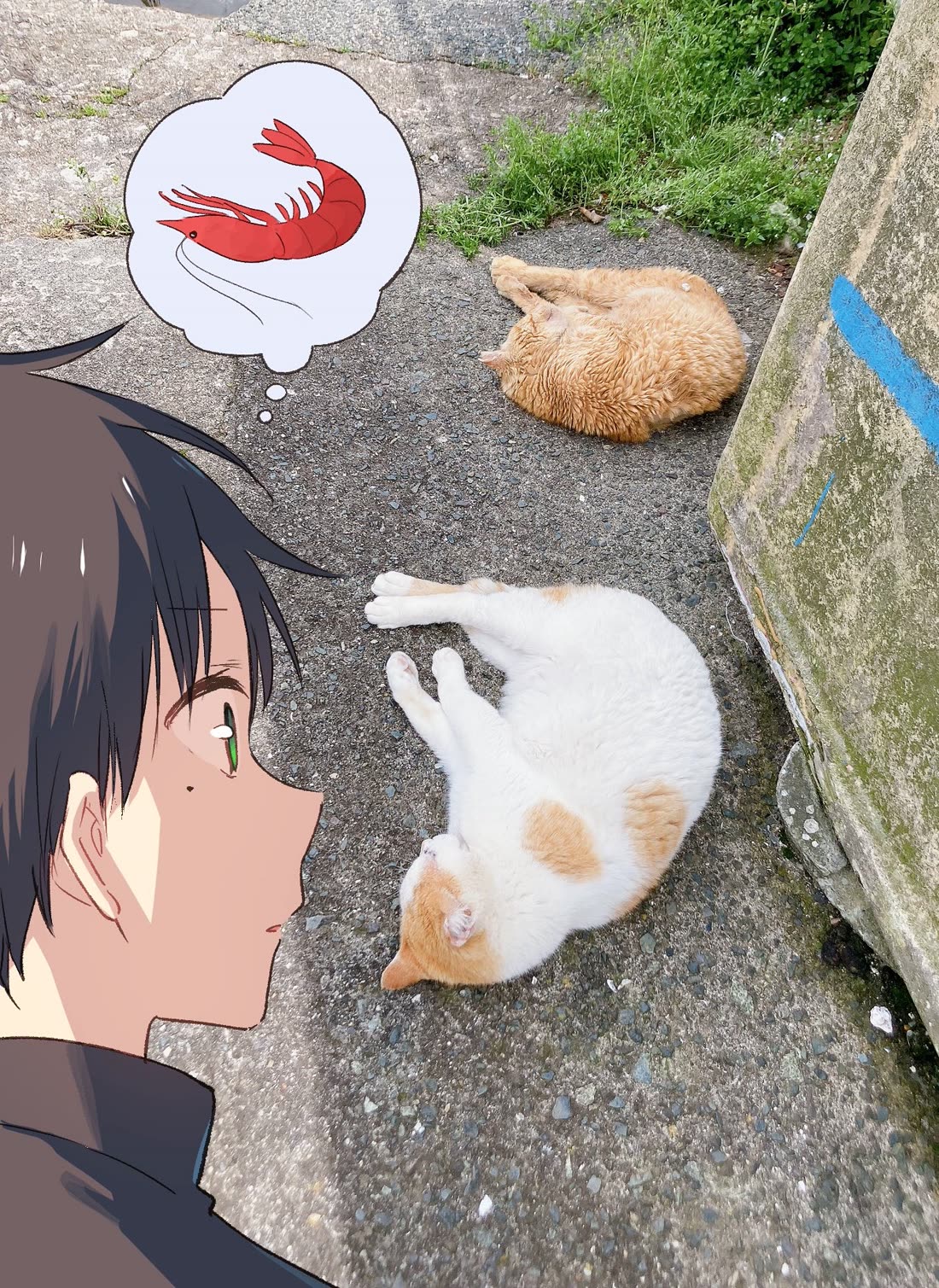 Tonari no Neko to Koi Shirazu Chapter 14.1 - Page 10