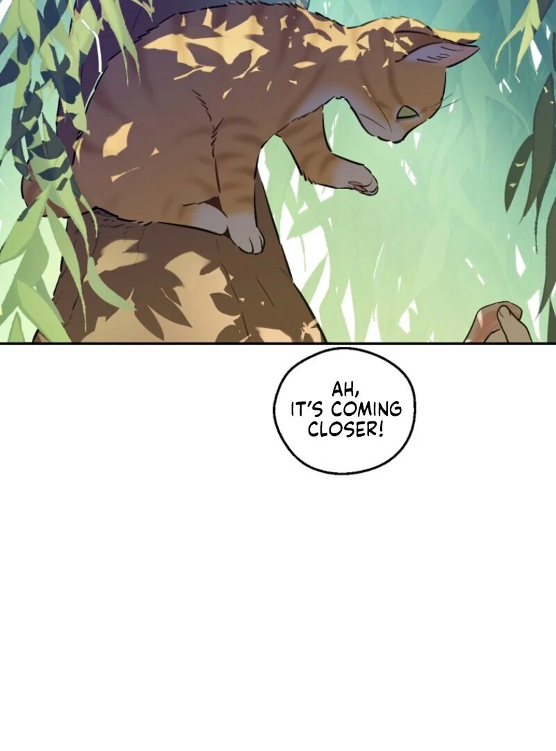 Who Made Me a Princess Chapter 133 - Page 12