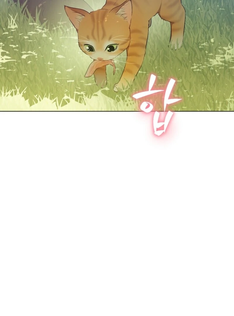 Who Made Me a Princess Chapter 133 - Page 18