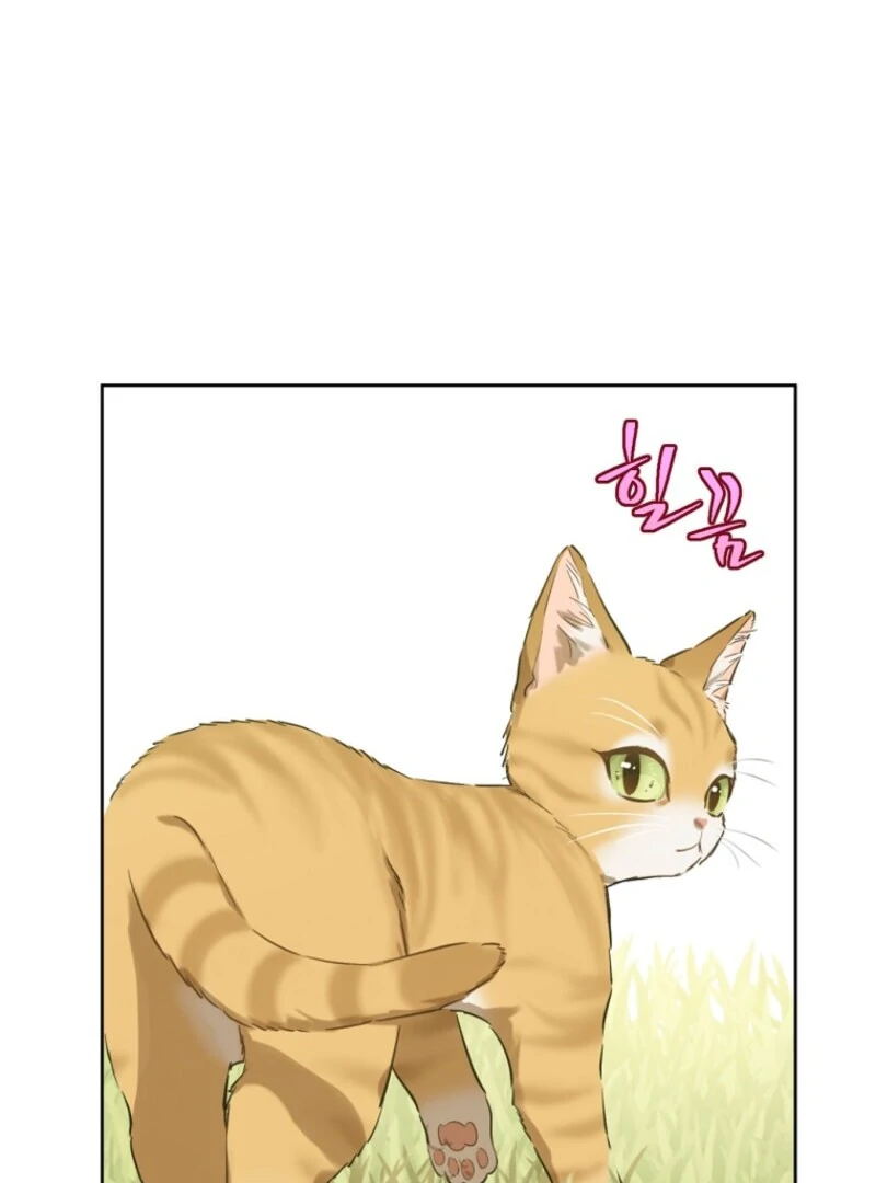 Who Made Me a Princess Chapter 133 - Page 32