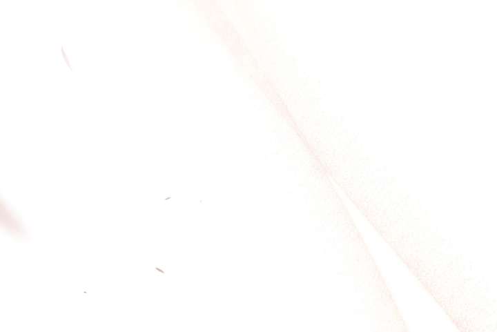 Wild Night Chapter 80 - Page 67