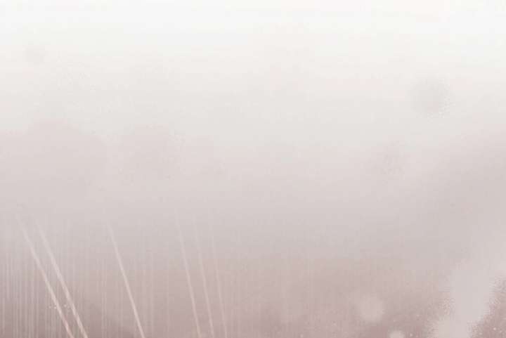 Wild Night Chapter 80 - Page 75