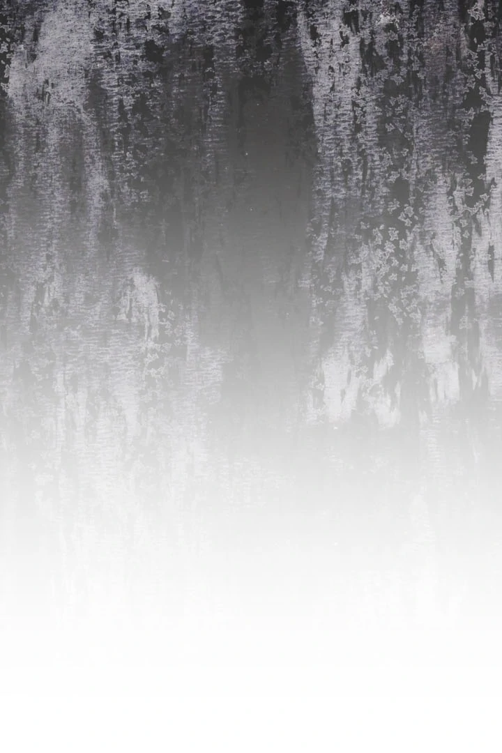 Winter Romance Chapter 6 - Page 31