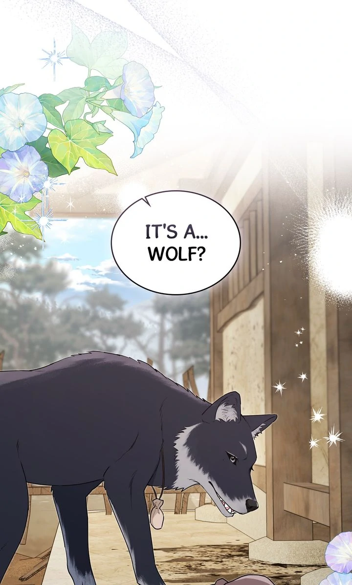 Wolf Groom Chapter 5 - Page 3