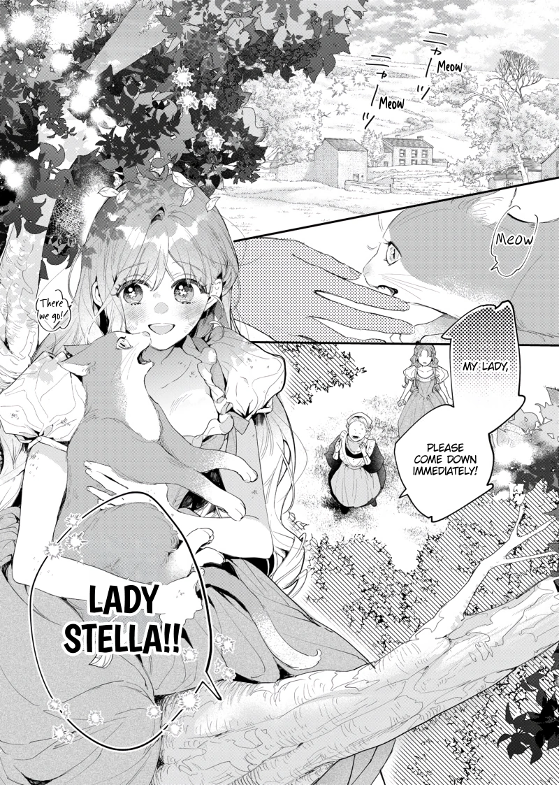 Your Meteor, Hidden in Flowers Chapter 1 - Page 9